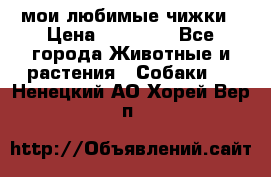 мои любимые чижки › Цена ­ 15 000 - Все города Животные и растения » Собаки   . Ненецкий АО,Хорей-Вер п.